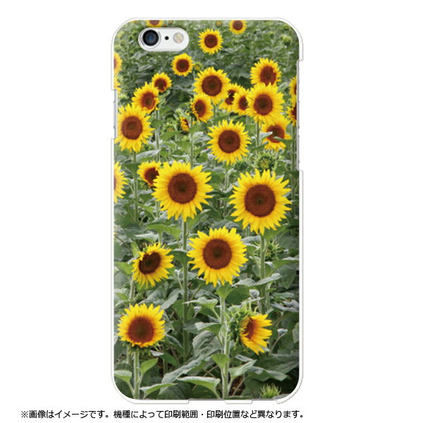 Rakuten - 全機種対応 BASIO active3 KYG04 moto g66y 5G Google Pixel 10ProXL ケース ひまわり 夏 花 写真