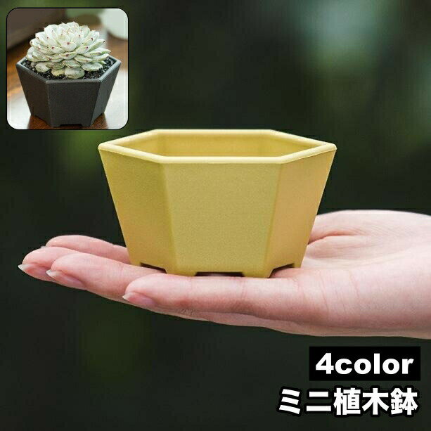 乐天商城 - 植木鉢 フラワーポット ミニ 観葉植物 プランター 多肉植物 盆栽 ガーデニング 園芸用品 お洒落 シンプル 室内 屋外 インテリア