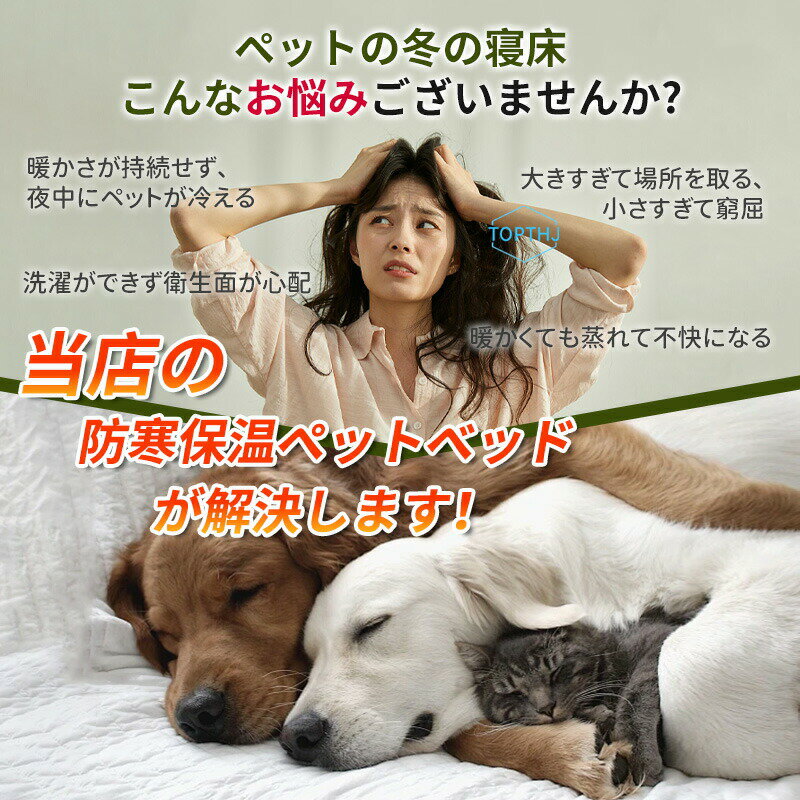 サンプル画像2