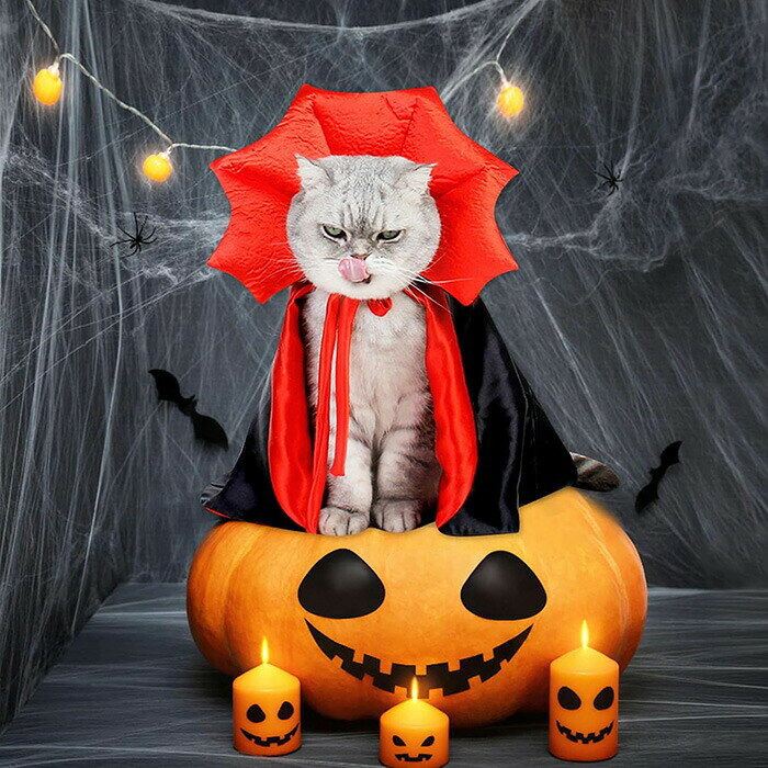 ハロウィン 猫 マント 猫服 ケープ コスプレ 小型犬 仮装 猫 猫用被り物 変身グッ...