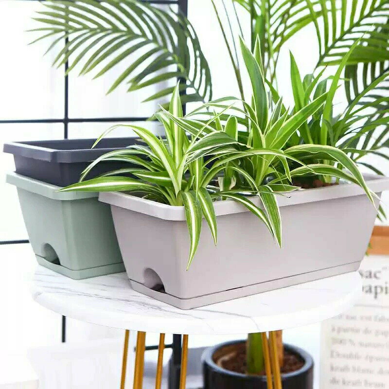 樂天商城 - 大型長方形プランター 深型 排水穴＆トレー付き 厚手プラスチック 野菜栽培キット 室内室外対応 ベランダガーデニング 家庭菜園用 野菜 観葉植物 鉢植え 園芸用品 耐久性 軽量 土保持 通気性 植栽管理便利