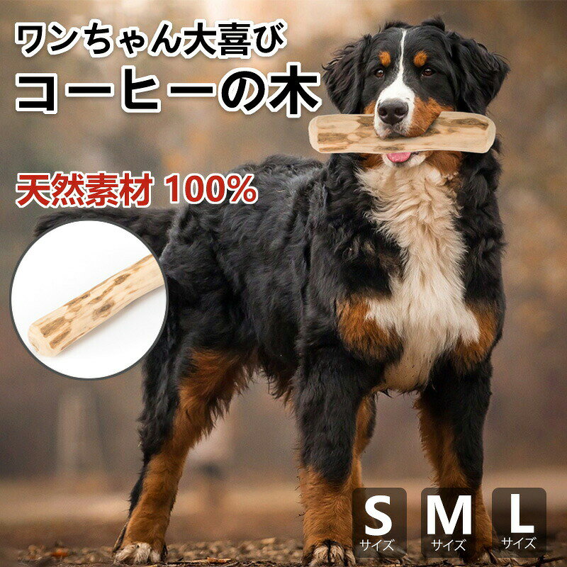 サイズ：S(18.5*3.5)、M(21*3.7)、L(23.5*4.2)■注意事項※モデル画像は環境光の影響によりカラーが異なって見える場合がございます。※採寸は製造メーカー提供情報ですので、1~3cm誤差が生じる場合がございます。※イメージ違い?サイズ感での御返品にはお応え出来ません。以上の点を予めご了承下さい。【品質保証サービス】弊店はお客様に安心なサービスを提供しております。開封後の商品や、ご洗濯後の商品など、製品の品質の問題であれば、ご利用いただいてからのご変更や交換も対応しておりますので、ご安心ください。【注意事項】※製品更新により、予告なしで同じ商品がデザイン、色若干変わる場合がございますので、予めご了承下さい。※撮影の為、画質等の関係上、色などが実際の商品と若干違ってしまうこともあるかもしれませんがご理解のほどご購入ください。予めご了承ください。※更新のタイミングによっては実在庫に相違が出る場合がございます。※万が一商品に不具合がある場合は、無償交換?返金は可能です。マイナス評価する前にご遠慮なく当店と連絡してください。メーカー希望小売価格はメーカーカタログに基づいて掲載しています