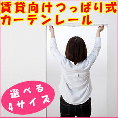 https://thumbnail.image.rakuten.co.jp/@0_mall/smartrehome/cabinet/03732868/03748638/03973973/cago.jpg