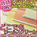 どこでもロールスクリーン ロールカーテン スリムタイプ 賃貸 ビス固定不要 マジックテープ マグネットタイプ 消臭 防汚 抗菌 遮光 選べるタイプ FN: