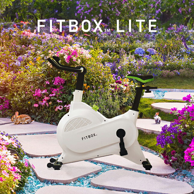 【公式 FITBOX LITE】極静音 エアロバイク フィットネスバイク スピンバイク エクササイズバイク トレーニングバイク ルームバイク フィットネスマシン 負荷 8段階 ダイエット器具 連続稼働 12…