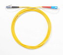 Fluke Networks 正規品 シングルモード準拠テスト参照コード(2m) 9μm LC終端ファイバー(SC/メタルLC)試験用 SRC-9-SCLC-M