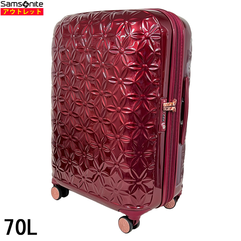 T\iCg Samsonite ViEyEAEgbg 70L ZIj[ THEONI Xsi[66/24 bh  t[ DV7*00002 X[cP[X L[P[X gxobO 