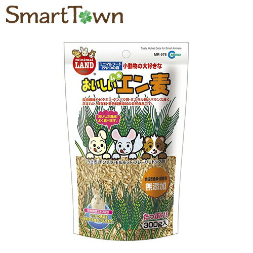 ※ダメージ有　小動物用 マルカン おいしいムキエン麦 300g　賞味期限：2025年05月