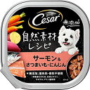 シーザー ドッグフード 自然素材レシピ サーモン&さつまいも・にんじん 成犬用 85g×28個　賞味期限：2024年11月