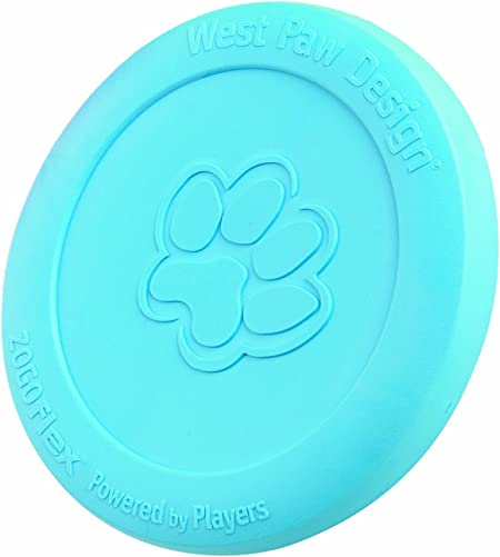 犬 おもちゃ ペット用品 フリスビー ブルー