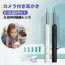 【期间限定】★先着50名12%OFF+P5倍★カメラ付き 耳かき カメラ ねじ込み ピンセット耳 LEDライト ミラー機能付きスコープ 細い 高画素LEDライト 耳掃除 歯垢 確認 防水極細レンズ WIFI接続温度制御USB充電日本