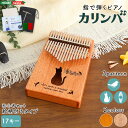 指で弾くピアノ カリンバ初心者セット 絵柄付きタイプ
