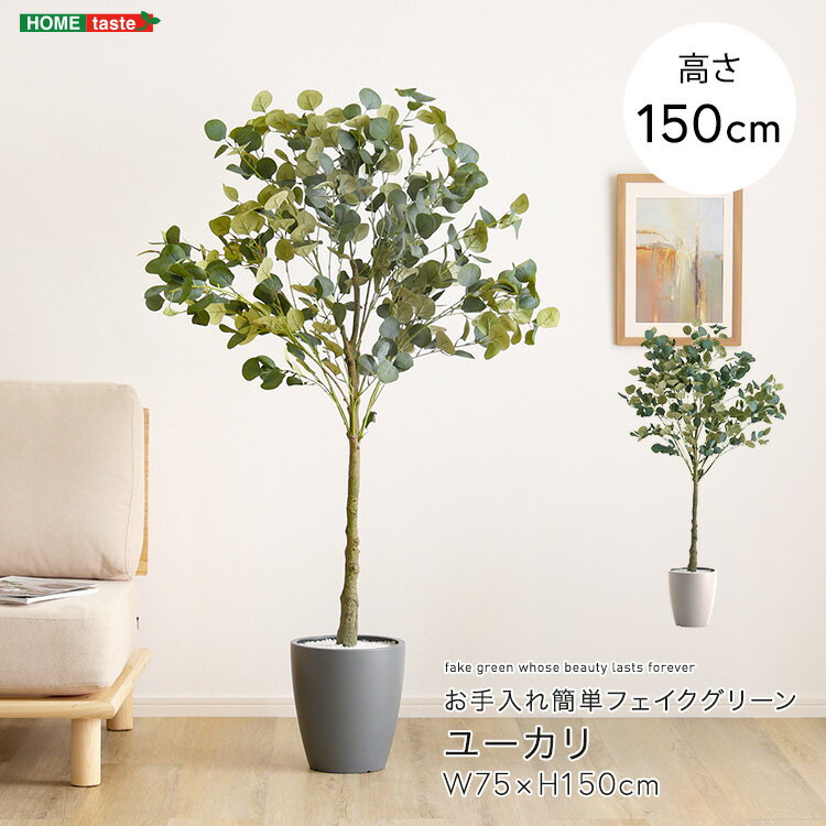 お手入れ簡単フェイクグリーン　ユーカリ　Mサイズ(150cm)
