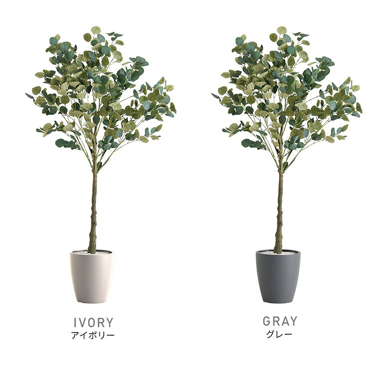 SMB selectionのお手入れ簡単フェイクグリーン　ユーカリ　Mサイズ(150cm)｜アングル3