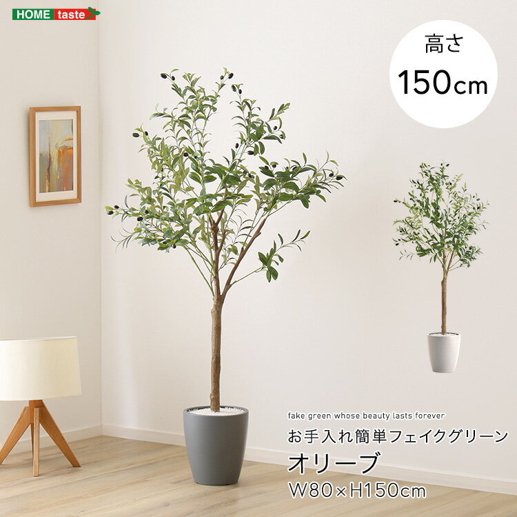 乐天商城 - お手入れ簡単フェイクグリーン　オリーブ　Mサイズ(150cm)
