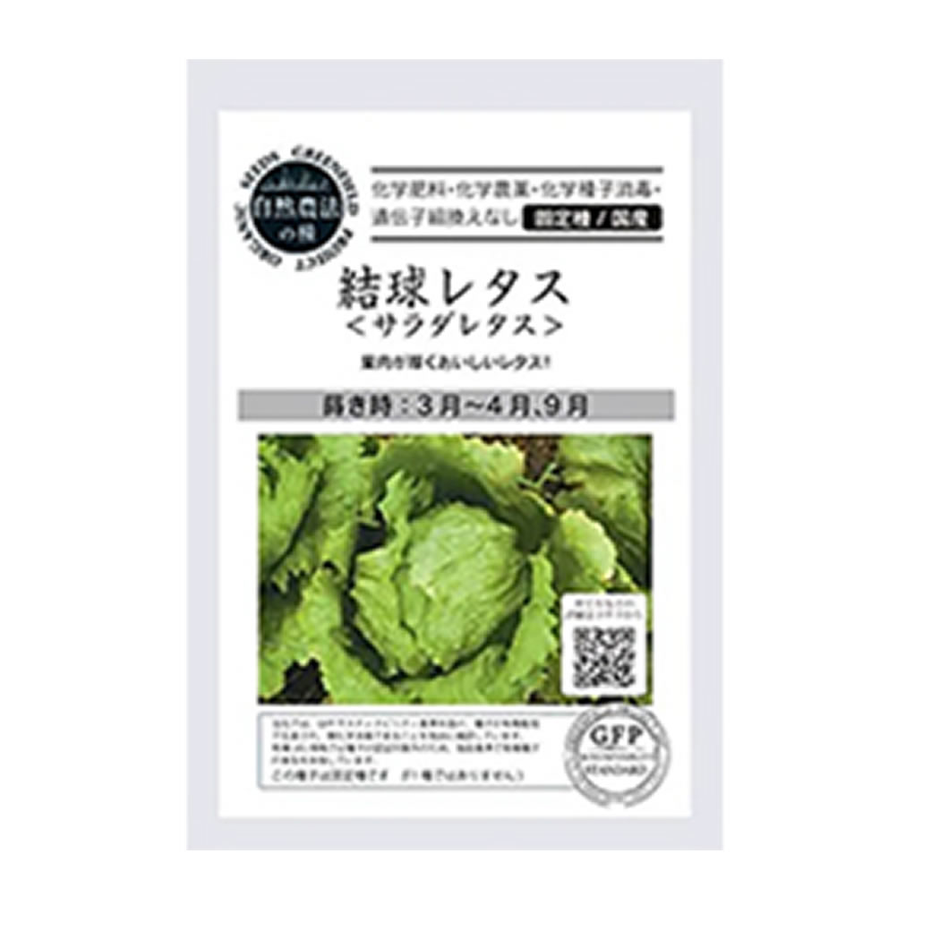 【自然農法の種・固定種】結球レタス＜サラダレタス＞【定形外郵便140円】のサムネイル