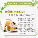 【公式】36万本突破 料理用 ぱぱっと 生体ミネラル 100mL2本入 ミネラル 60種類 マルチミネラル 約60日分 料理 野菜洗い 子供 栄養 健康 サポート 3