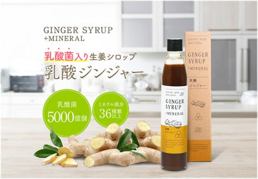生姜シロップ 乳酸ジンジャー 10ml×3包 お試し サンプル
