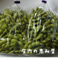 【送料無料】白山だだちゃ豆　晩生　1kg