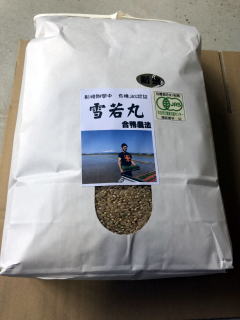 【令和元年産】米　雪若丸　あいがも無農薬栽培　精米　5kg　山形県庄内産　送料無料※...