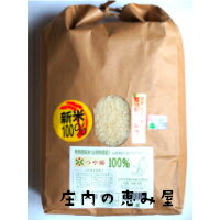 【令和元年産】米　つや姫　江花微生物農法栽培　精米　5kg　山形県庄内産　送料無料※...