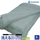 Araemax アラエマックス シルティナチャコール 備長炭生地 ウォシュロン中綿使用洗えるオールシーズン掛け布団 ジュニアサイズ(2枚合わせ)532P26Fe...