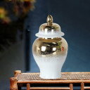セラミック蓋付き瓶 花瓶 磁器製ジンジャージャー コレクション オフィス 花飾り