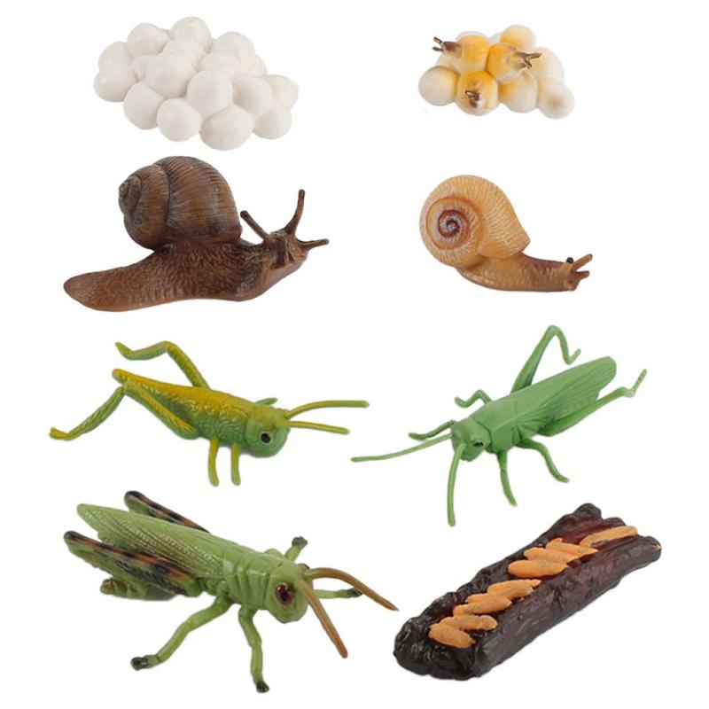 シミュレーション自然バッタ/カタツムリ成長図fifeモデルの子の早期教育の認知おもちゃ教育子供ロールプレイテーマパーティー