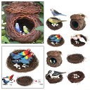 モダンなミニチュアオウム鳥の巣の卵の置物.芝生の屋外屋内家の装飾のための妖精の庭の装飾盆栽