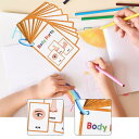体の部位フラッシュカード 英語ポケットカード 知育玩具 赤ちゃん 幼児