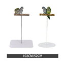 オウムパーチプレイスタンド.鳥の遊び場.鳥かごアクセサリー.木製実用的な鳥遊びスタンド.ラブバード用鳥遊びジムスタンド