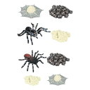 ライフサイクル スパイダー おもちゃ 動物の置物 成長セット 誕生日プレゼント 科学プレイセット リアル パーティーの記念品 教育学習