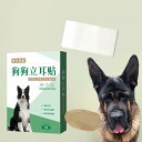 犬耳立ち耳ステッカー ペット立ち耳補正 ドーベルマン チワワ用