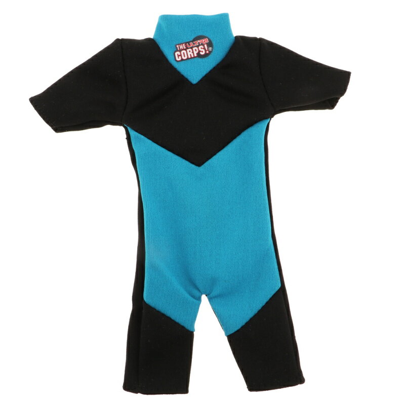 1/6른㡼ɡAccsCollͷӥ󥰿