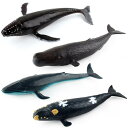 子供 知育玩具 動物モデル クジラ模型 フィギュア 自然玩具 置物 全4種(3)