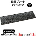 段差解消スロープ 段差5cm用 幅60cm 2個セット 120cm対応 耐荷重5t 駐車場・車庫の段差解消! 段差解消スロープ 屋外用 玄関 車いす 介護 介助...