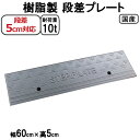 段差解消スロープ 段差5cm用 幅60cm 単品 耐荷重10t 国産 樹脂製段差プレート ステッププレート駐車場・車庫の段差解消!屋外用 玄関 車いす 介護 介助 SPG 5-60×1