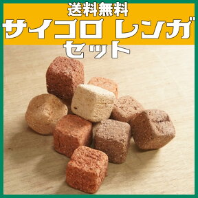 【送料無料】サイコロ レンガ (キューブ ブリック) 50個セット レンガブロック 置くだけ 簡単 ミニレンガ キューブブリック おしゃれ サイコロレンガ 花壇用 レンガ セット花壇　煉瓦　cube brick