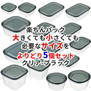 【送料無料】 イノマタ化学　楽ちんパック 大きくても小さくても必要なサイズを よりどり5個セット　クリア-ブラック 〈北海道・沖縄・離島・一部地域は別途送料がかかります〉保存容器 タッパー タッパーウェア プラスチック製密閉容器