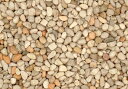 乾燥砂利 象牙 (20kg)10袋セット 【送料無料】 庭 砂利 大量 ガーデニング 化粧砂利天然石 庭石 庭用 庭石 砂利 敷石 外構エクステリア 石材 敷き...