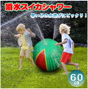 噴水スイカシャワー 90078 / 水遊び 噴水 シャワー 飛び出る 水噴射 簡単 庭 駐車場 子供 暑さ対策 スイカ