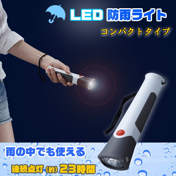懐中電灯 LED/ 単2形 LED防雨ライト AHL-2203 【コンパクト便】