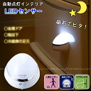 LED センサーライト/ インテリアLEDセンサーライト ASL-3304 /【ポイント 倍】