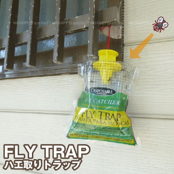 FLY TRAP (ハエ取りトラップ) F20830/ ハエ 蠅 コバエ 虫 ハエ取り トラップ 駆除 誘引 捕獲器 捕獲 殺虫 吊る 吊るす 防止 対策 除け 屋外 ごみ箱 生ごみ 殺虫剤不使用 ペット 子供 安心 安全