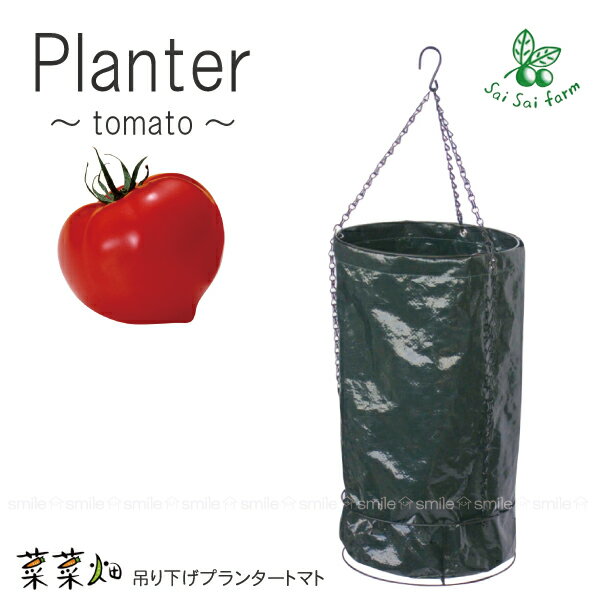 【在庫処分】菜菜畑吊り下げプランタートマト[F6079]/【ポイント 倍】