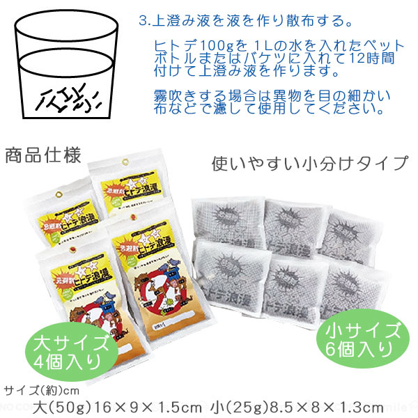 ヒトデ浪漫