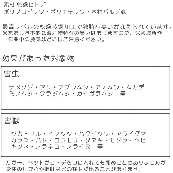 ヒトデ浪漫