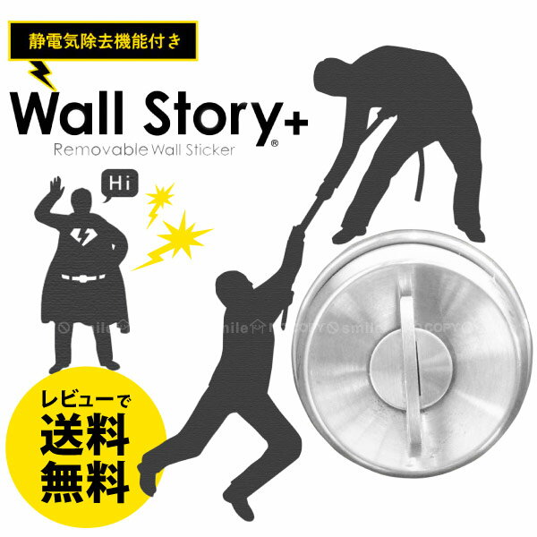 【在庫処分】静電気除去グッズ / WallStory+【送料無料】