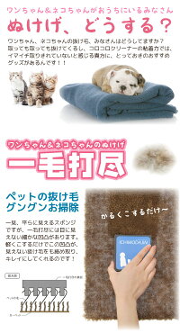 楽天市場 一毛打尽 普通郵便送料無料 ペット 毛 一毛打尽 毛取り 抜け毛 カーペット ソファー シート 絨毯 じゅうたん 掃除 コロコロ クリーナー 犬 猫 一網打尽 いちもうだじん 住マイル