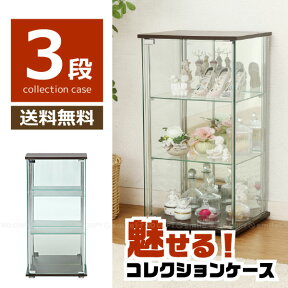 コレクションケース ガラス / ガラスコレクションケース3段　96048/【ポイント 倍】 【送料無料】